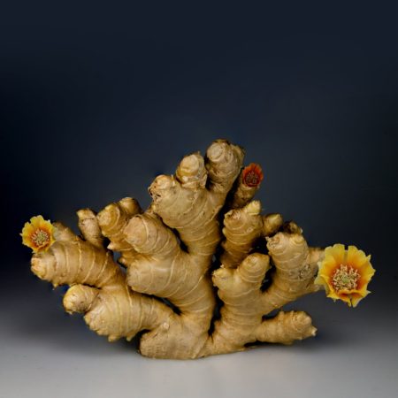 Ginger has been in use for centuries to treat all sorts of ailments