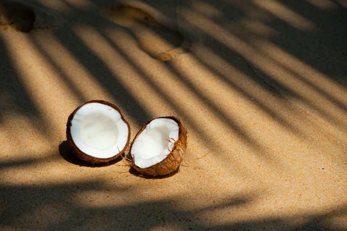 Open Coconut